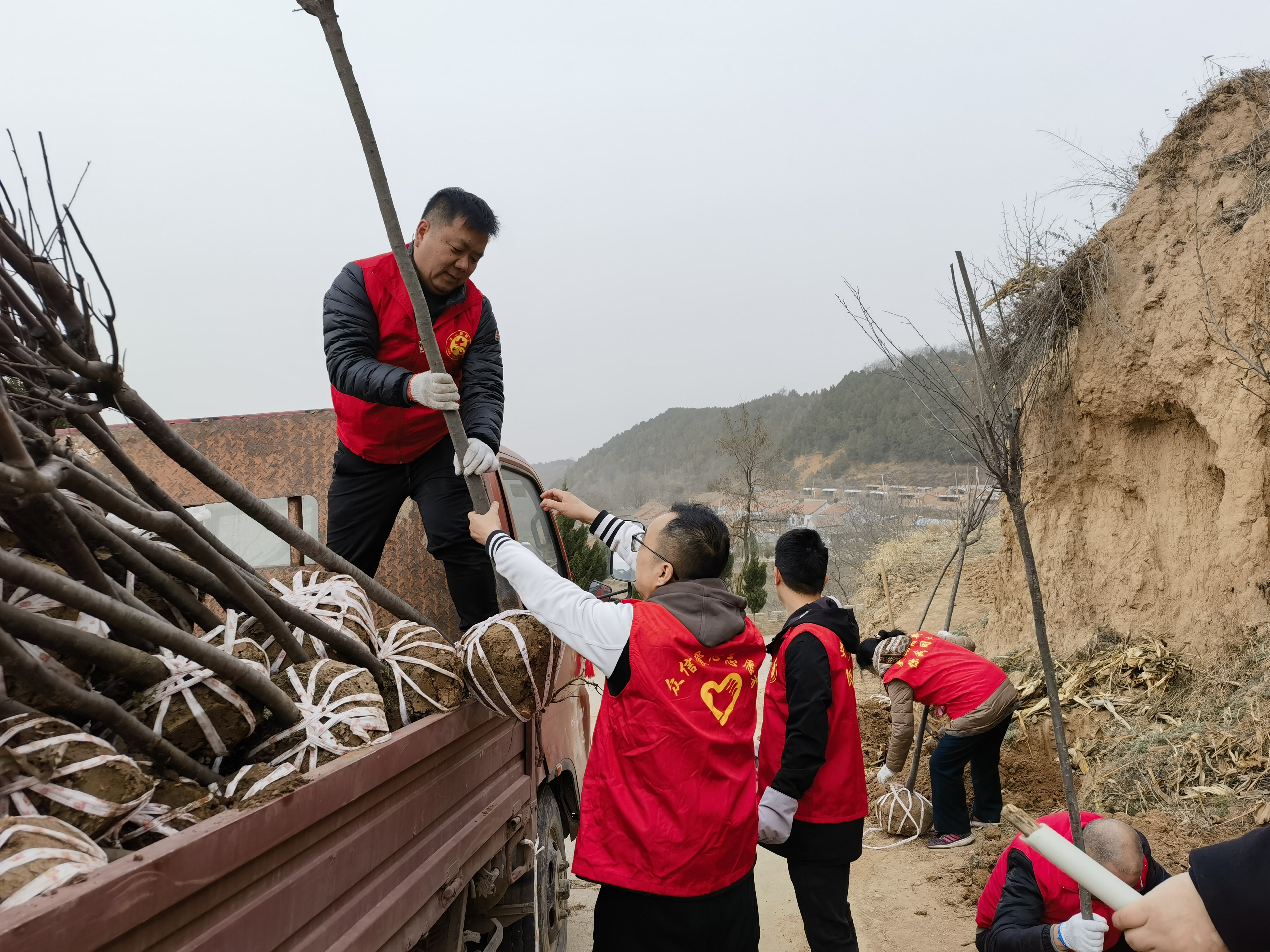 志愿者在卸载树苗.jpg