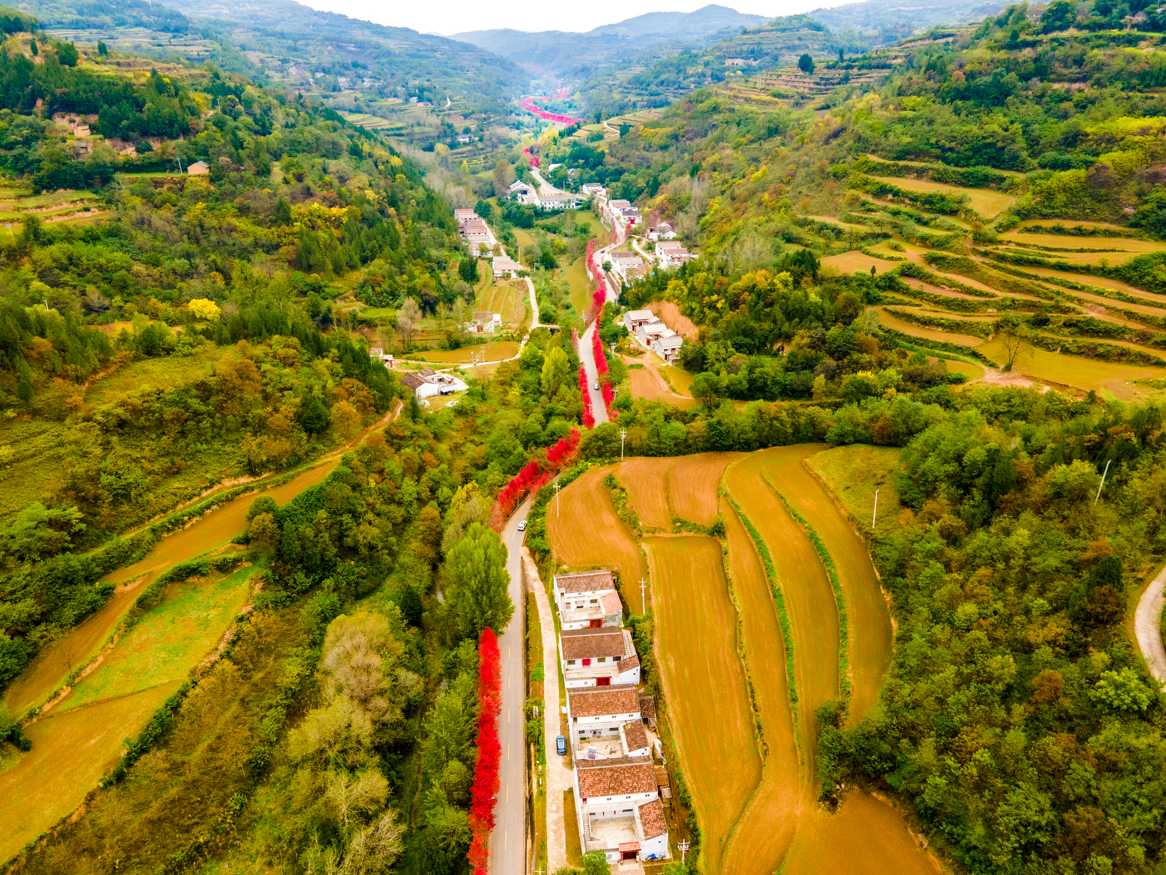 凝智聚力谋发展 笃行实干开新局——2026年全市农村公路工作会议召开